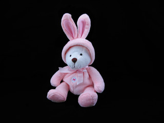 Bear in Bunny Suit
