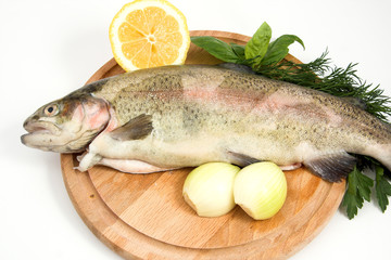 close-up of raw rainbow trout