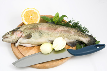 close-up of raw rainbow trout
