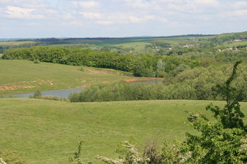 Obraz premium Beautiful view