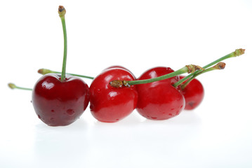 Sour Cherry