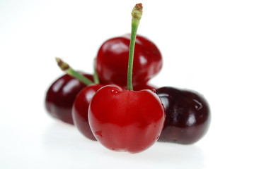 Sour Cherry