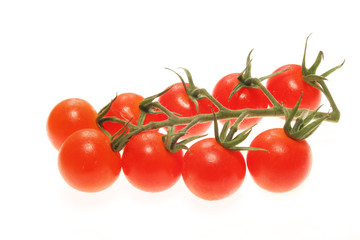 Vine tomatoes on white