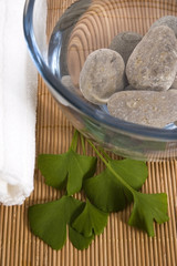 alternative medicine. ginkgo biloba therapy