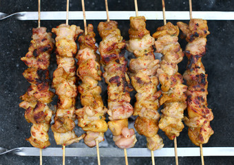 Roasting Shish Kebab on Skewers