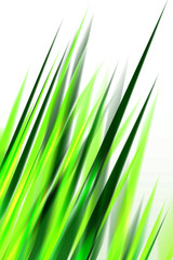 Green grass abstract