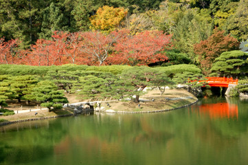 Jardin japonais