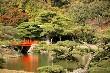 Fototapety  Jardin japonais
