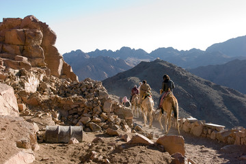 Riding camels on Sinai