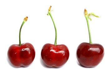 Three cherries