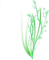 decorazione floreale verde