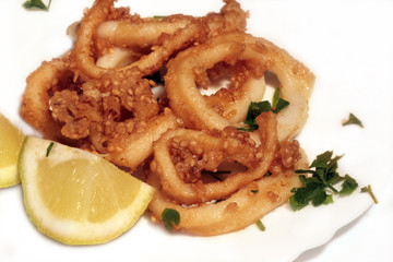  fried squid rings in plate - good snack