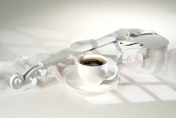 Stidy In White Colours