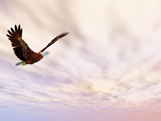 Eagle