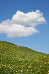 Landschaft mit grüner Wiese, blauer Himmel und Wolken