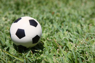 Fototapeta premium soccer ball