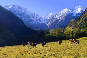 Pirineos © ABUELO RAMIRO