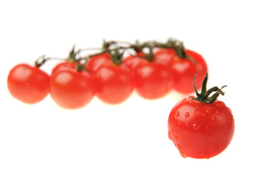 Fresh tomato isolated