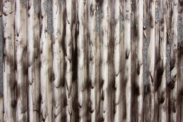 Obraz premium Pleated curtain