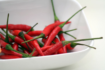 Frische chilies