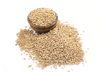 wheat