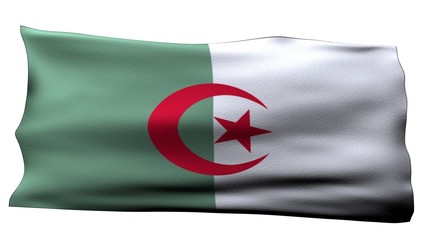 Algeria Flag bg
