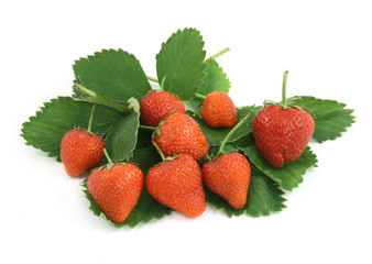 strawberry
