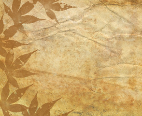 Fototapeta premium Old Paper Texture With Decorative elements