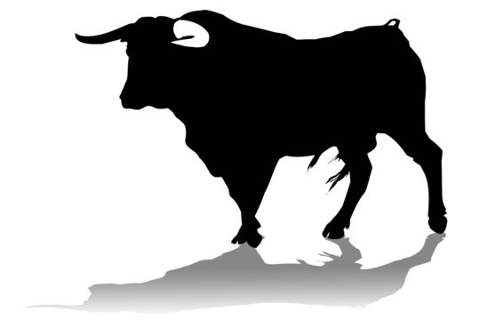 Toro 