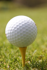 golf ball on tee