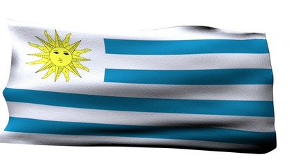 Uruguay Flag bg