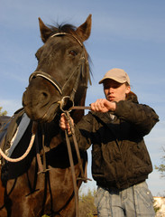 enrener un cheval © cynoclub