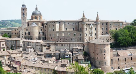urbino 4