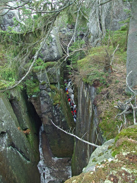 Path