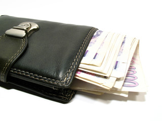 Purse with czech banknotes