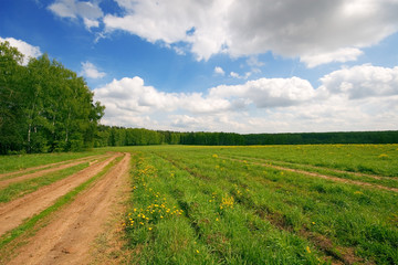 Road in the fields