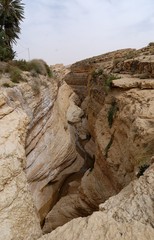 Canyon du désert de Tunisie