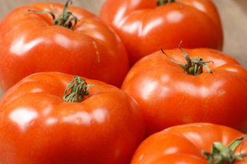 Tomaten 3