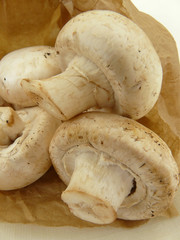 Champignon