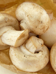 Champignon