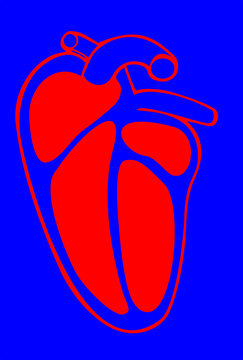 Red heart with blue backround