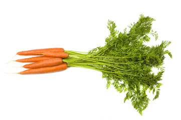 Bunch of carrots