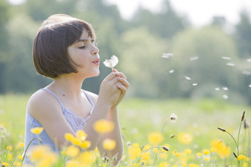 child blowing dandelion2956