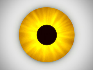 Gelbes Auge