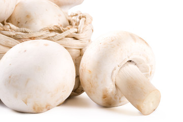 Fresh mushrooms
