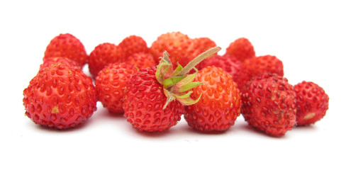 Wild strawberries isolated on white background