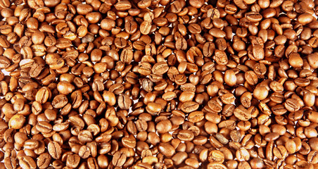 Fondo con granos de café