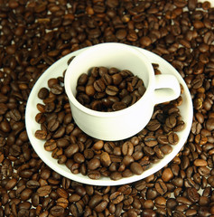 taza rodeada de granos de café