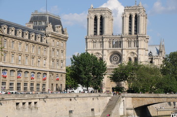 Fototapeta premium Notre-dam