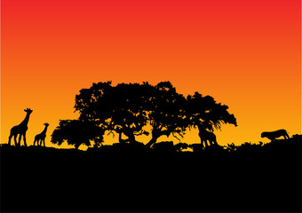 Fototapeta na wymiar illustration of a giraffe with sunset background